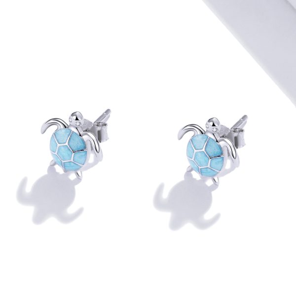 ARETES  TORTUGA